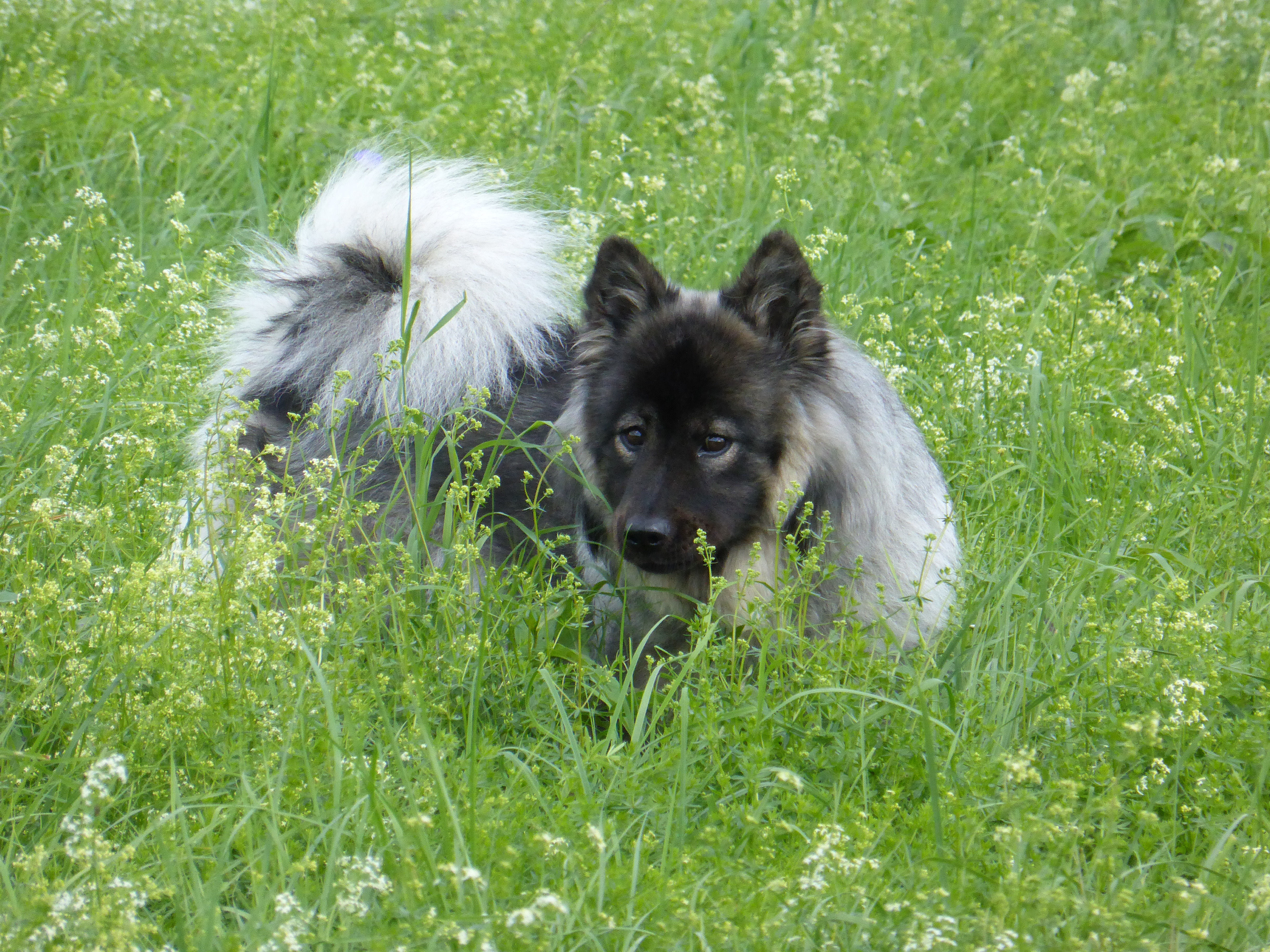 Stella auf der Bank